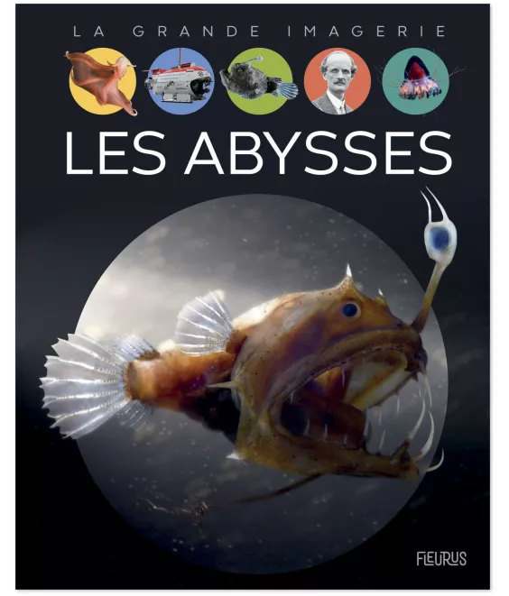 Laure Cambournac - Les Abysses