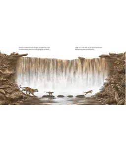 Petits tigres