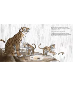 Petits tigres