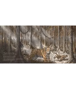 Petits tigres