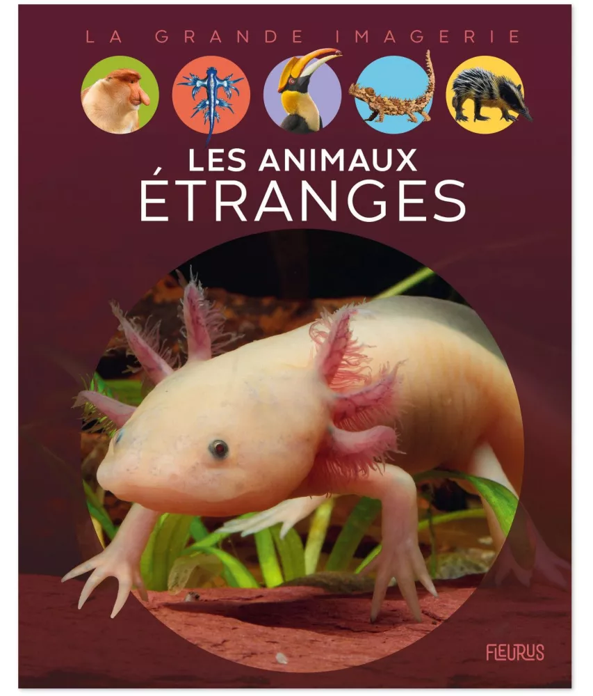 Elisabeth Dumont-Le Cornec - Les animaux étranges