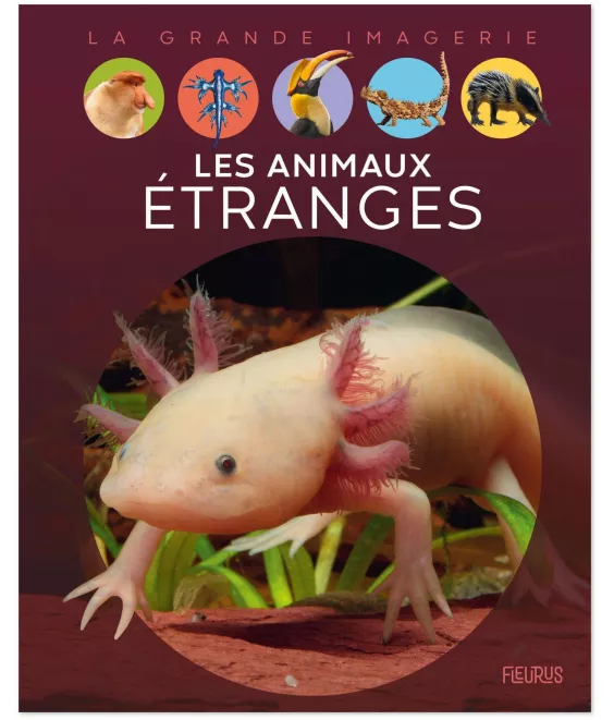 Elisabeth Dumont-Le Cornec - Les animaux étranges