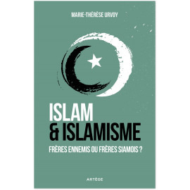Islam et islamisme - Frères ennemis ou frères siamois ?