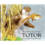 Totor, dernier né de la famille loutre