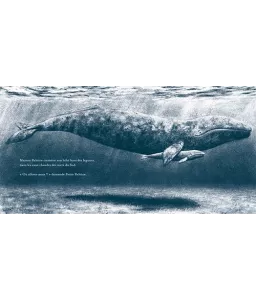 Jo Weaver - Petite baleine