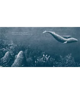 Jo Weaver - Petite baleine