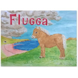 Flugga - Le poney des Shetland