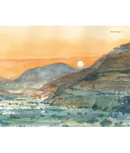 Terre sainte, terre des hommes