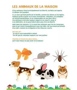Sandrine  Lamour  - Cherche et trouve les animaux
