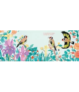 Chants d'oiseaux du jardin