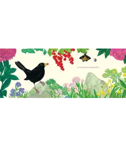 Chants d'oiseaux du jardin