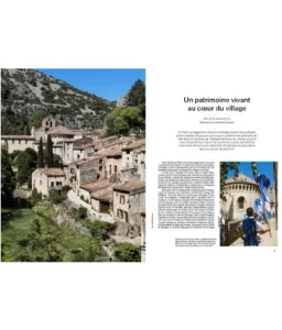 Saint Guilhem le Désert   La grâce de l'abbaye de Gellone