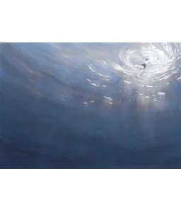 L'été dernier