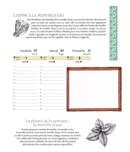 Sarah Stulzaft - Mon Agenda Hildegarde de Bingen 2023