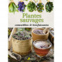 Phillippe Chavanne - Plantes sauvages comestibles et bienfaisantes