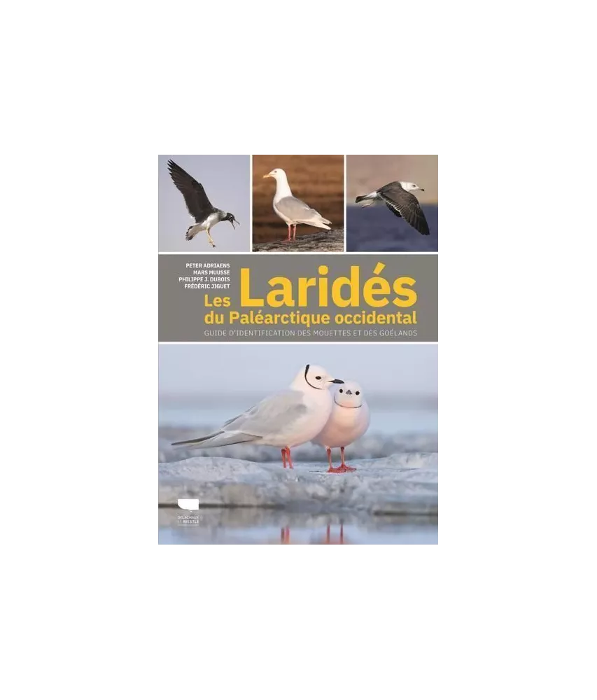 Collectif - Les Laridés du Paléarctique occidental
