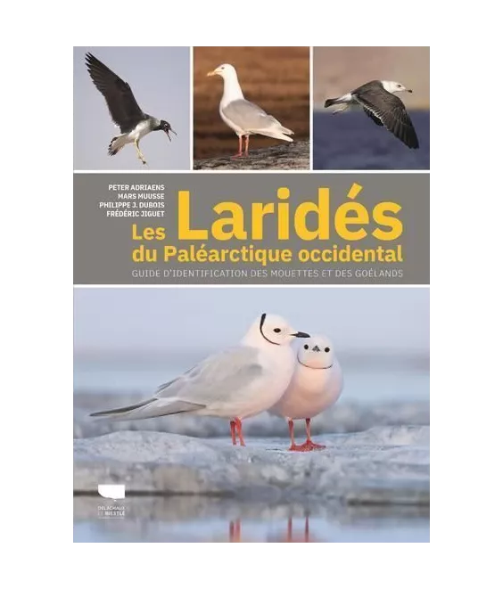 Collectif - Les Laridés du Paléarctique occidental