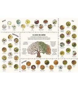 Les secrets de la nature - Puzzle 100 pièces