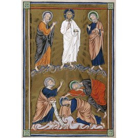 Abbaye d'Encalcat - La Transfiguration - N°425