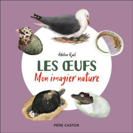Adeline Ruel - Les oeufs - Mon imagier nature