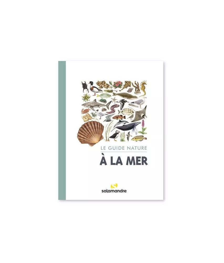 Alessandro Blasetti - A la mer - Le guide nature