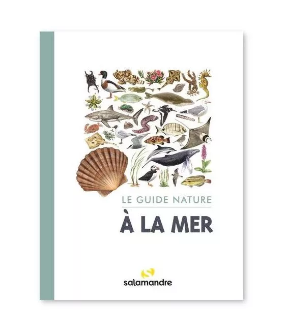Alessandro Blasetti - A la mer - Le guide nature