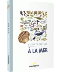 Alessandro Blasetti - A la mer - Le guide nature