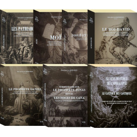 Dom Monléon coffret de 7 volumes