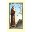 Saint François d'Assise -et les oiseaux 744-IG14