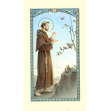 Prière simple à saint François -744-IG14