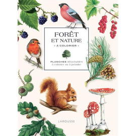 Isabelle Jeuge-Maynart - Forêt et nature à colorier - Planches détachables à colorier ou à peindre