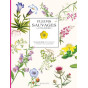 Isabelle Jeuge-Maynart - Fleurs sauvages à colorier - Planches détachables à colorier ou à peindre