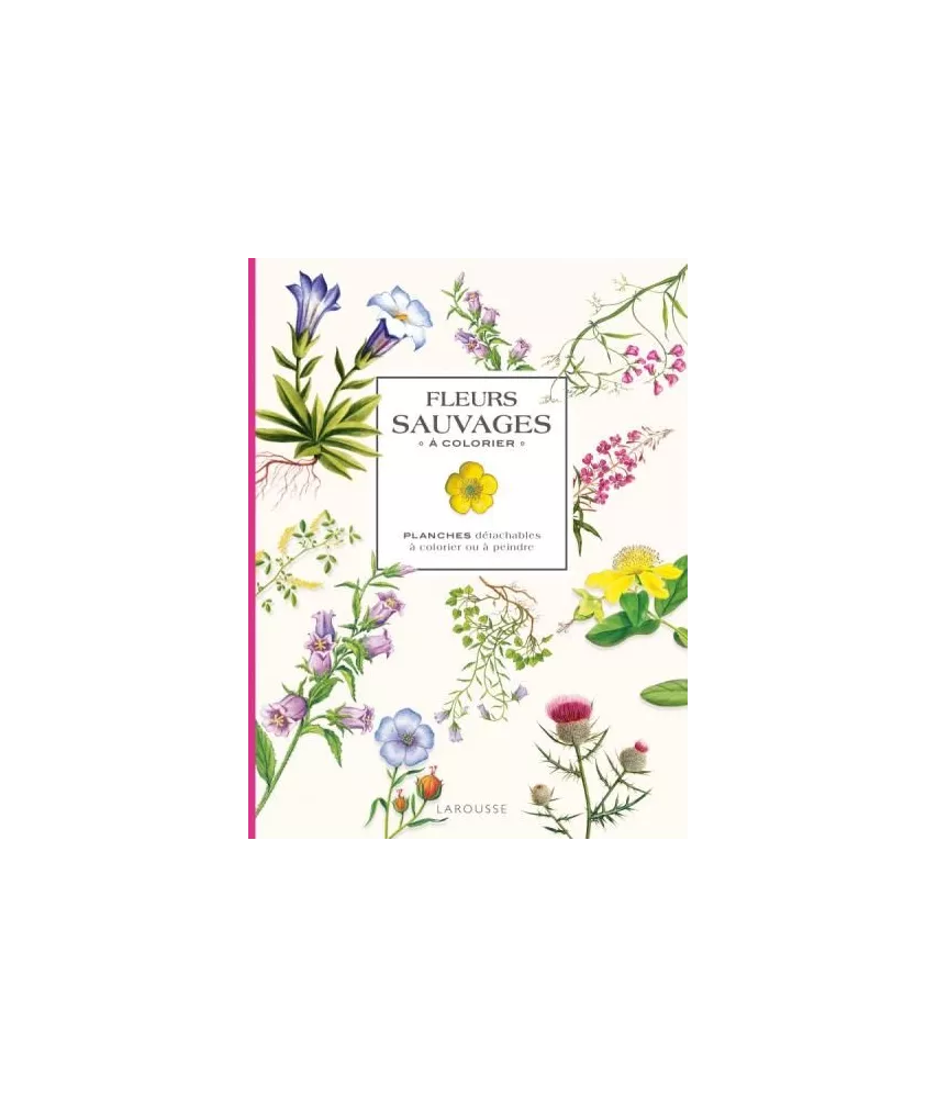 Isabelle Jeuge-Maynart - Fleurs sauvages à colorier - Planches détachables à colorier ou à peindre