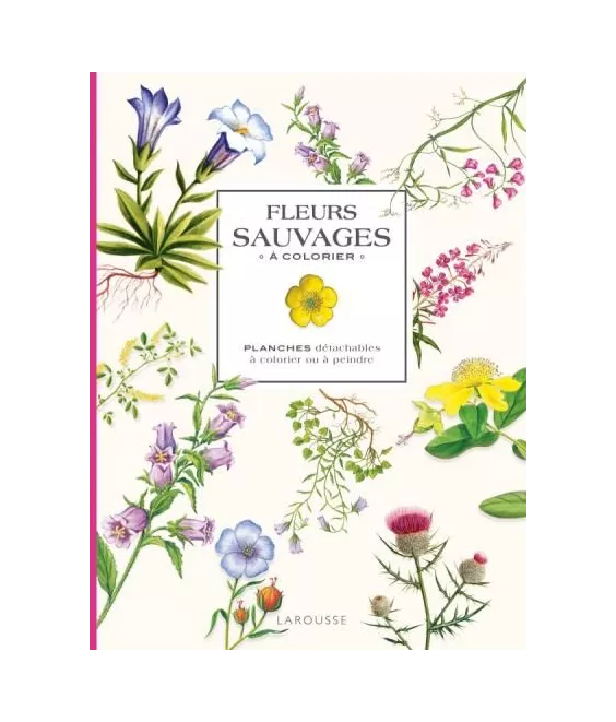 Isabelle Jeuge-Maynart - Fleurs sauvages à colorier - Planches détachables à colorier ou à peindre