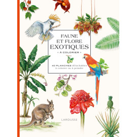 Isabelle Jeuge-Maynart - Faune et flore exotiques à colorier - 40 planches détachables à colorier ou à peindre