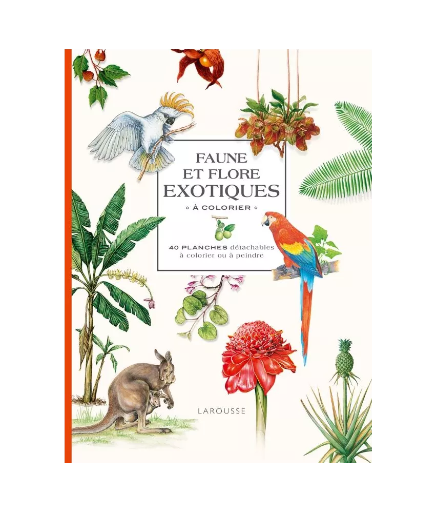 Isabelle Jeuge-Maynart - Faune et flore exotiques à colorier - 40 planches détachables à colorier ou à peindre