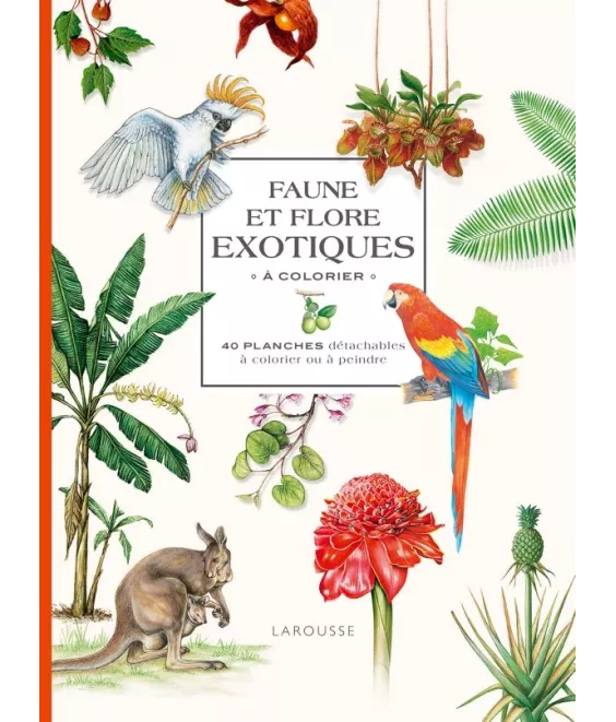 Isabelle Jeuge-Maynart - Faune et flore exotiques à colorier - 40 planches détachables à colorier ou à peindre