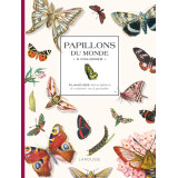 Papillons du monde à colorier - Planches détachables à colorier ou à peindre