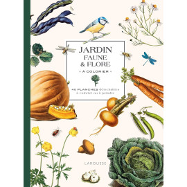 Isabelle Jeuge-Maynart - Jardin Faune & Flore à colorier - 40 planches détachables à colorier ou à peindre