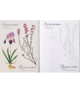 Mon herbier à colorier