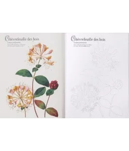 Mon herbier à colorier