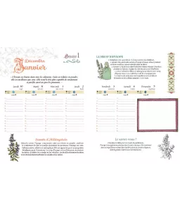 Mon Agenda Hildegarde de Bingen 2025