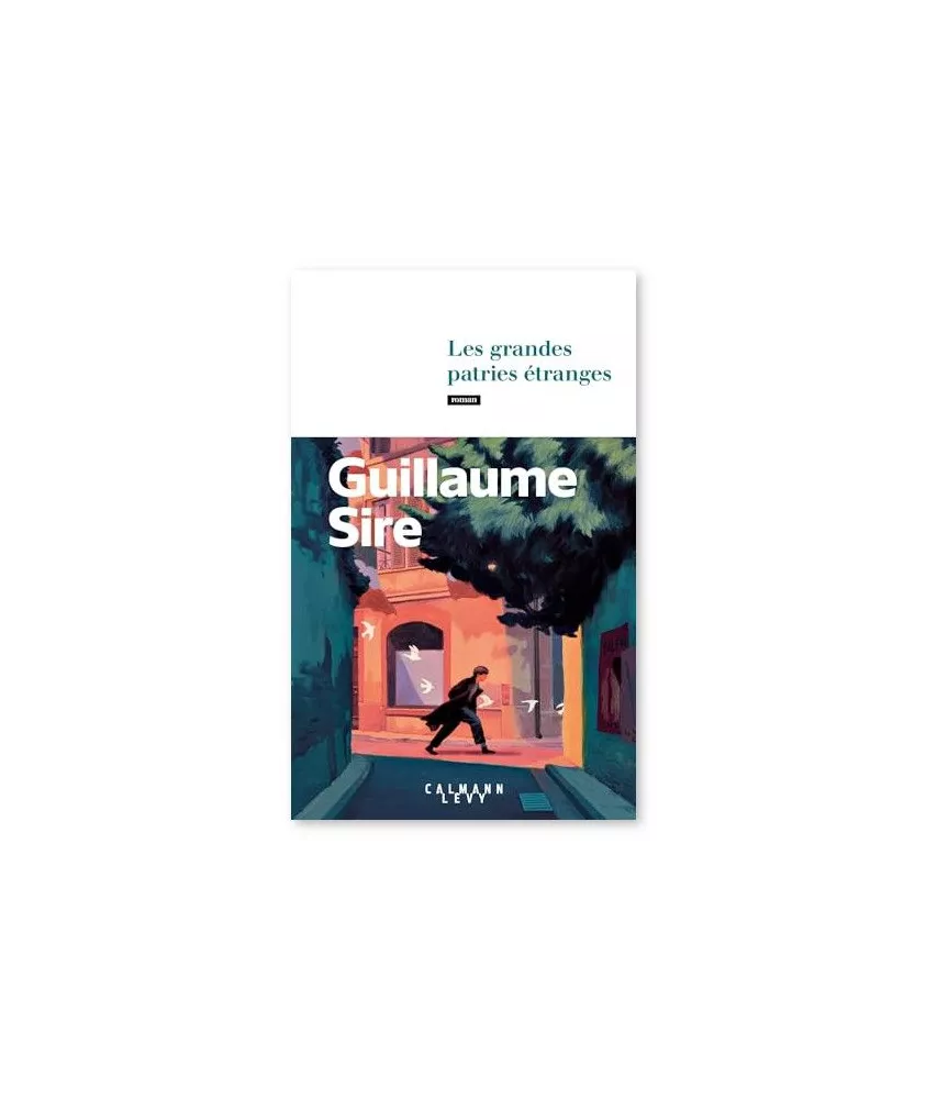 Guillaume Sire - Les Grandes Patries étranges