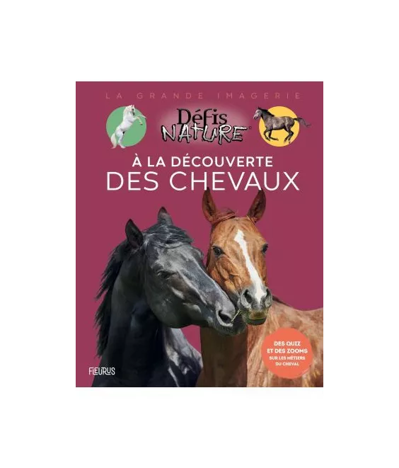 Claire Neveux - À la découverte des chevaux
