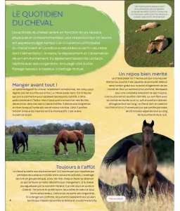 Claire Neveux - À la découverte des chevaux