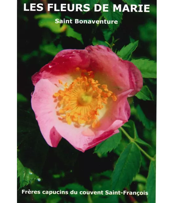 Les Fleurs de Marie