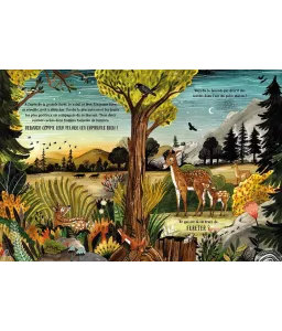 Dans la forêt secrète cherche et trouve