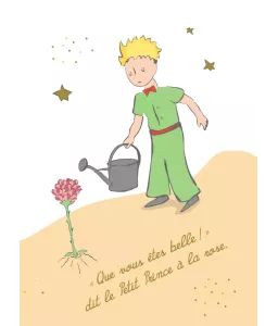 Le merveilleux voyage du Petit Prince