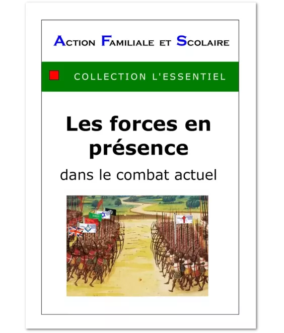 Les forces en présence dans le combat actuel