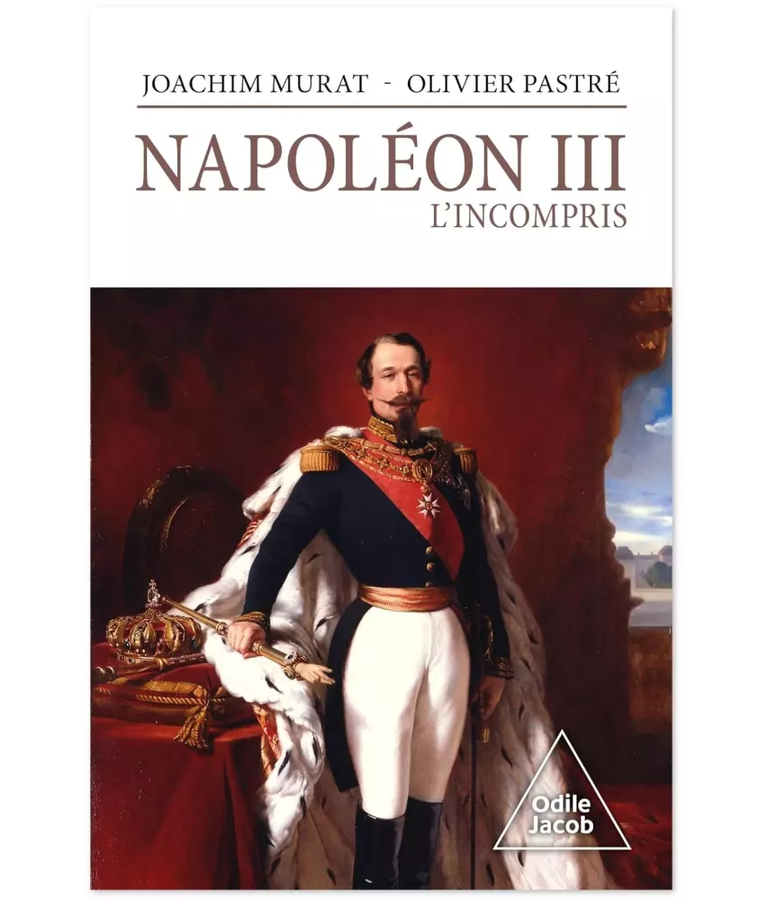 napol-on-iii-l-incompris